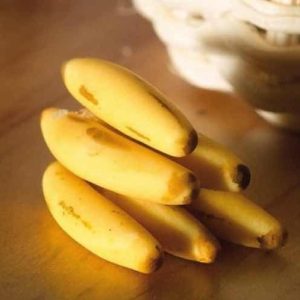 Bananes