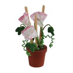 Bouquet de fleurs en pot