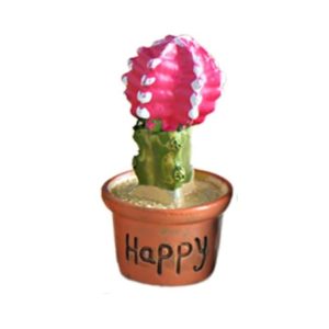 Plante verte en pot