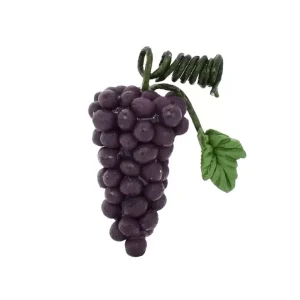 Grappe de raisin noir