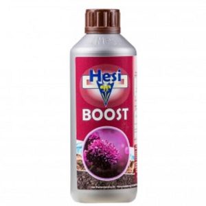 BOOST 500ML HESI