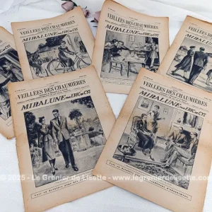 Lot 5 revues « Les Veillées des Chaumières » de 1949