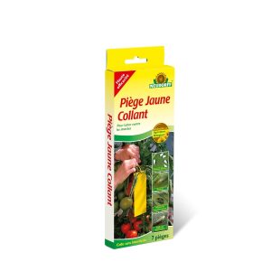 PIÈGE JAUNE COLLANT
