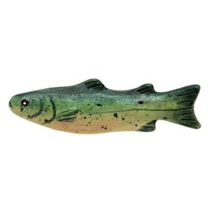 Poisson truite fario