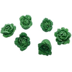 Salade – Laitue – Lot de 6
