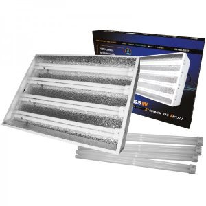 kit turbo neon 4X55w-starlite